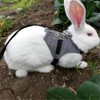 Rabbit Harness, Multipurpose Adjustable Soft Pet Rabbit Walking Harness Leash