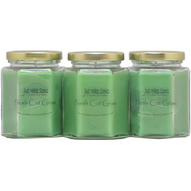 3 Pack - Fresh Cut Grass Scented Blended Soy Candles | Grass Fragrance | Hand Poured in The USA by Just Makes Scents …