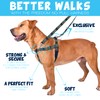2 Hounds Design - Freedom No-Pull Harness & Training Leash