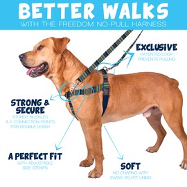 2 Hounds Design - Freedom No-Pull Harness & Training Leash in Blue and Green | Dual Leash Loops, No Pulling on Walks | Lined to Prevent Chaffing | for Large Sized Dogs (Size M, Chest 24”- 28”)