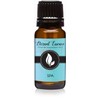Spa - Premium Grade Fragrance Oils - 10ml - Scented