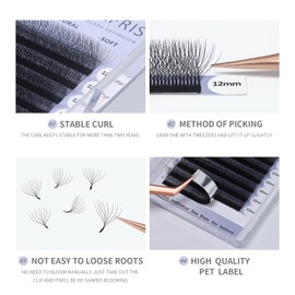 ANNAFRIS Eyelash Extension, 8DW, 8 mm, 0.07C, Pre-Fanned, Ready-to-Use Fan Eyelash Extension, Premade Fan W Lash 8d Russian Volume Eyelash (0.07C 8 mm)