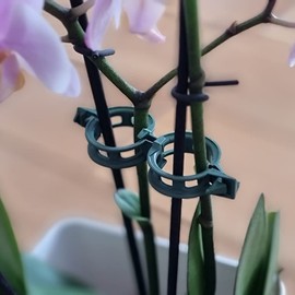 GARDENIX 100 Stück Pflanzen Clips Pflanzenklammern für Gemüse Tomate Pflanze Unterstützung Gurken, Erbsen, Auberginen, Bohnen und Blumen wie Orchideen