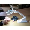 Daylight Magnifying Lamp