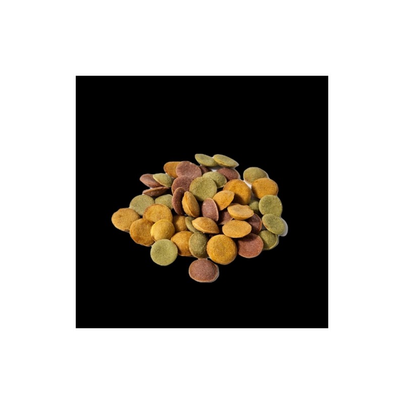 Bugs Dog Vegan Formula 1.2kg + Samples (30g x 2ea)