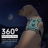 IVY&LANE No Pull Dog Harness with Leash Set, Reflective No