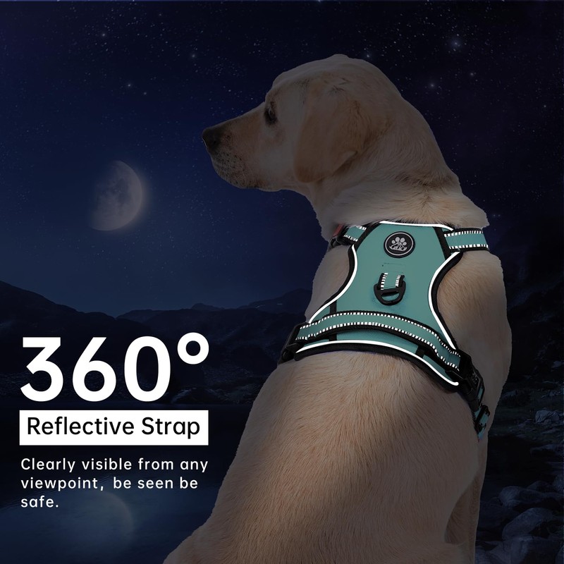 IVY&LANE No Pull Dog Harness with Leash Set, Reflective No