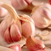 Garlic Set - Reliable Harvest - for Your Kitchen Garden
