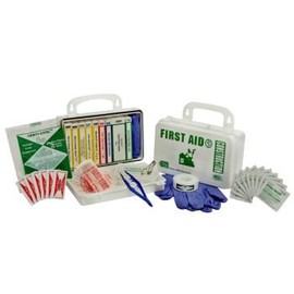 ANSI Construction - 10-Piece Kit