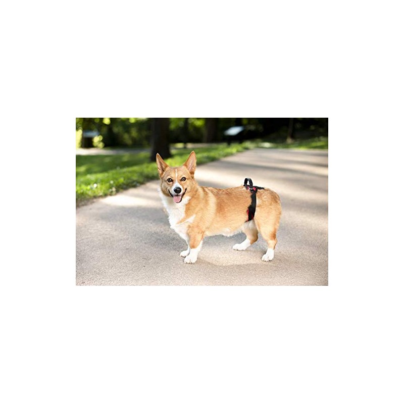 PetSafe CareLift Rear Support Harness - Lifting Aid with Handle
