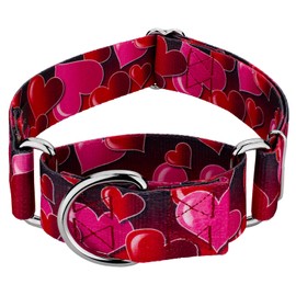 Country Brook Petz - Romantic Hearts Martingale Dog Collar - Affection Collection with 4 Designs You'll Adore (1 1/2 Inch, Medium)