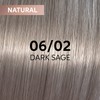 Shinefinity 06/02 60 ml Shade Dark Sage