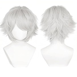 PORSMEER Unisex Short Bob Wig, Natural Layer Straight Fluffy Hair for Anime Costume, Halloween, Cosplay, Party (Silver Gray)