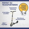 Best Sporting Scooter Adults and Children I Folding Scooter with