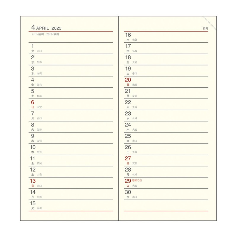 Daigo E8217 2025 Planner, Appointment, Monthly, Horizontal Black, Begins December