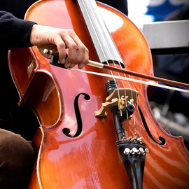 VICASKY Cello Wolf Tuner Wolfston Eliminate Cello Accessories Guitar Tuner Cello Mute Wolf Note Mute Wolf Tone Mute French Horn Mute Musical Instruments Wolf Tone Golden