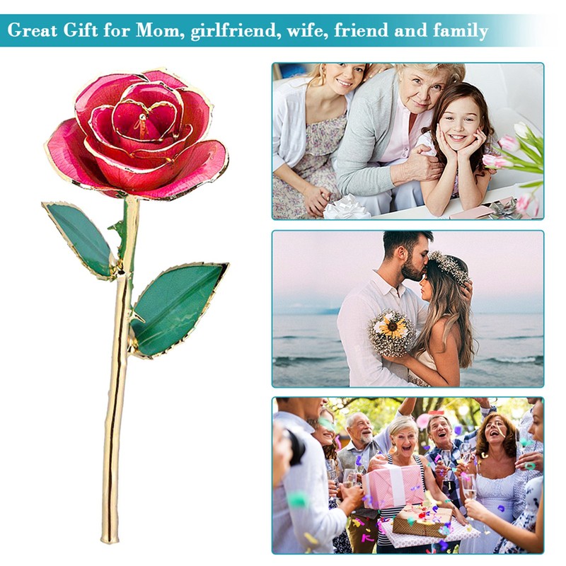 Long Stem Dipped 24k Gold Rose in Gift Box with