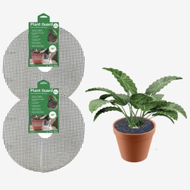 Curtis Wagner Plastics Plant Guard, 16" Diameter, 2-Pack | Plant Protector from Cats & Animals | Plant Soil Cover | Trim-to-Fit Plant Pot Cover for Healthy Root Growth | Indoor or Outdoor Use