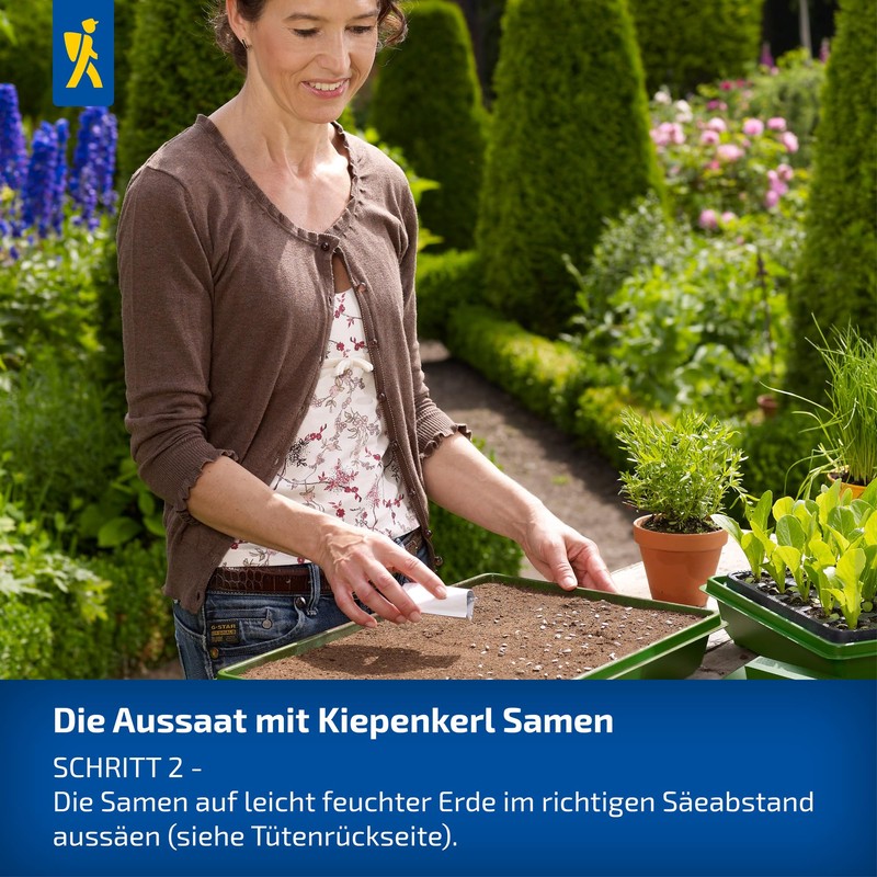 Kiepenkerl Matador 1007950 Spinach Seeds - Robust Vegetable Seeds for