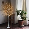 ooLALoo 6 FT Lighted Birch Tree with 128 Led Lights