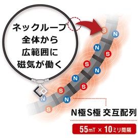 Colantotte Tao Necklace AURA, black