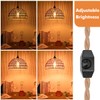Plug in Pendant Light Rattan Hanging Lamp with 15 Ft