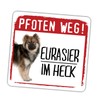 siviwonder Eurasier Paw Path Small Car Sticker Dog Sticker Reflective