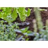 Gardena Micro-Drip-System Sealing Plug 13 mm (1/2 inch): Practical Closure