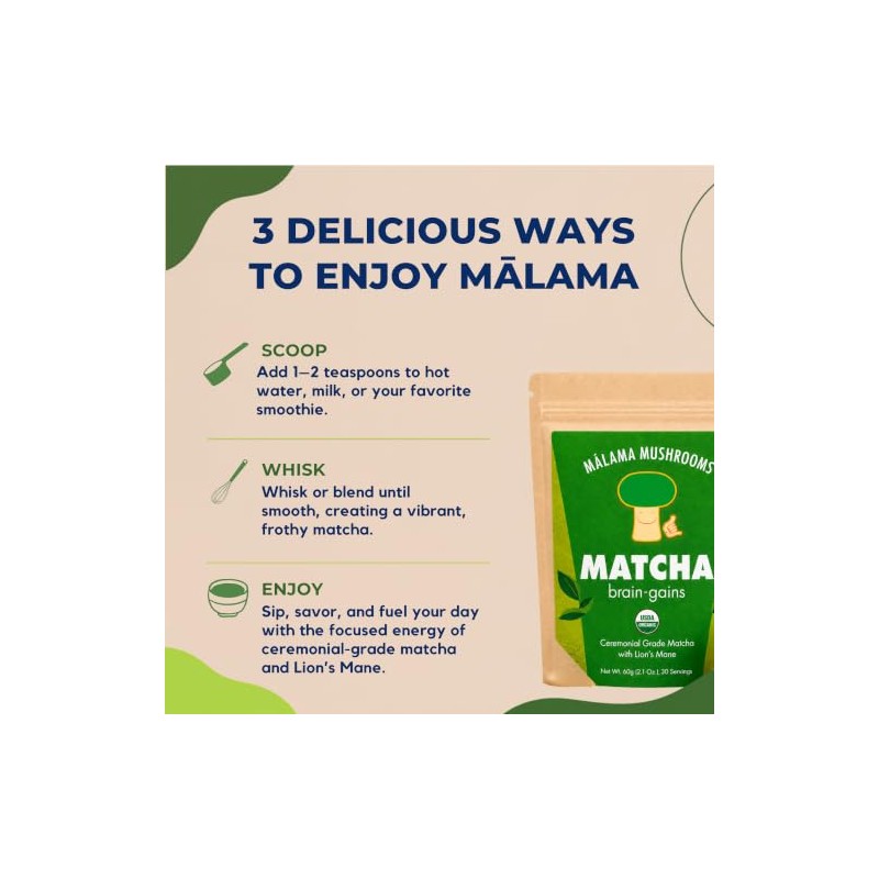 MALAMA MUSHROOMS Matcha Melena de León de Malama, Matcha de