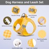 Gyuzh Dog Harness and Leash Set, Breathable Soft Mesh Vest