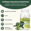 Liposomal Sulforaphane High Dose, 450 mg Daily Dose, Broccoli Capsules