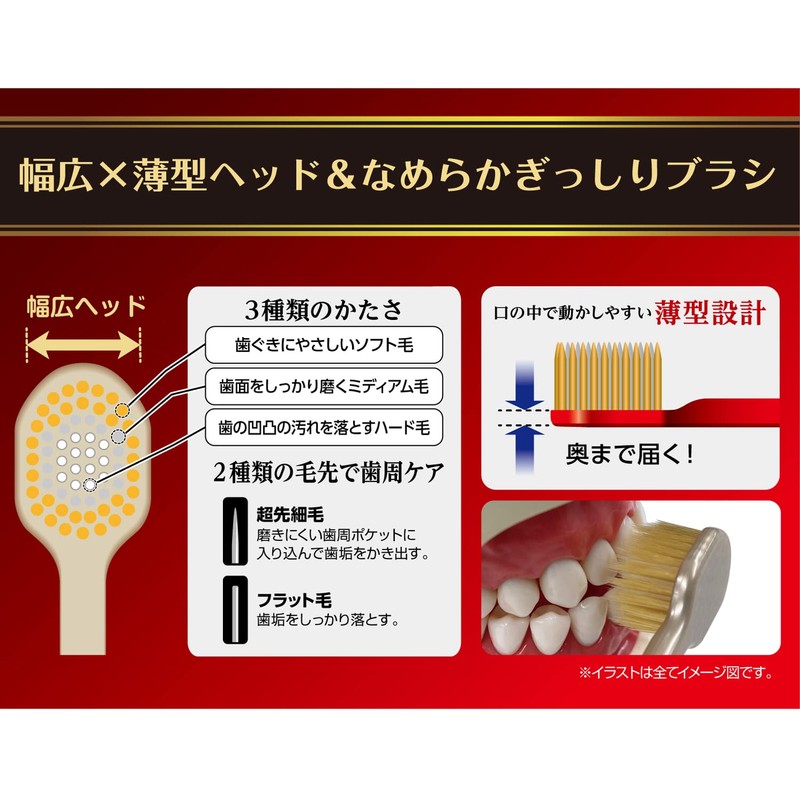 エビス ザ・プレミアムケア 8列レギュラー ふつう (色おまかせ)