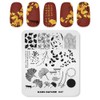 Alexnailart Professional Nail Stamping Plates Autumn Leaves Ginkgo Verse Pattern