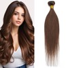 Benehair Human Hair Extensions Weft 100g Remy Straight Human Hair