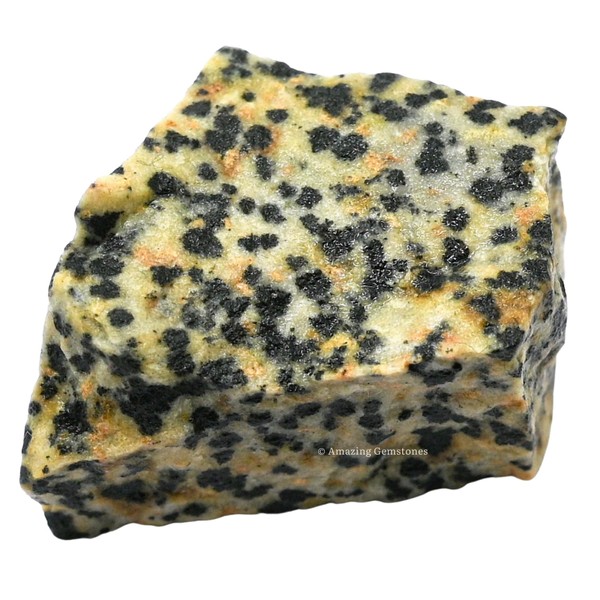 Amazing Gemstone Dalmatian Jasper Raw Crystals and Healing Stones, Natural
