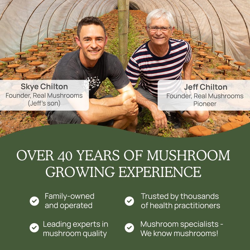 Real Mushrooms Turkey Tail Capsules – Organic Mushroom Extract for