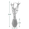Arcadia Garden Products 5-Stem Lucky Bamboo, Live Indoor Plant in