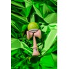 KROM - Kendama Toy POP LOL Lime Green - High