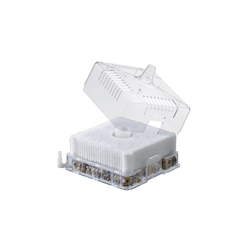 Gex Roca Boy L Flat Power