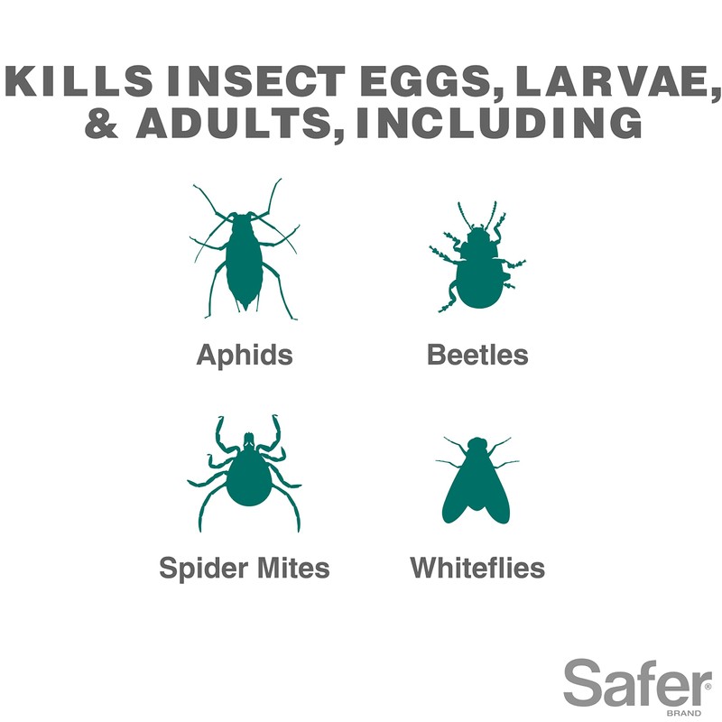 Safer Brand 5182-6 Neem Oil Concentrate Insecticide, Miticide, Fungicide for