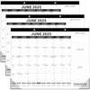 GuassLee Large Desk Calendar 2025,3 Packs 22" x 17" Desktop