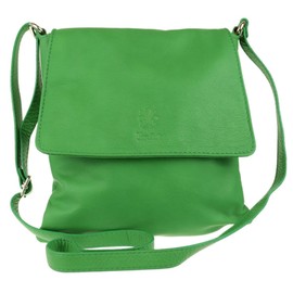 Girly Handbags Womens Genuine Soft Leather Italian Cross Body Messenger Bag Vera Plelle Shoulder Bag Flap Zipper (Light Green)