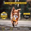 Bite Force Bite Force Dog Chew Toys