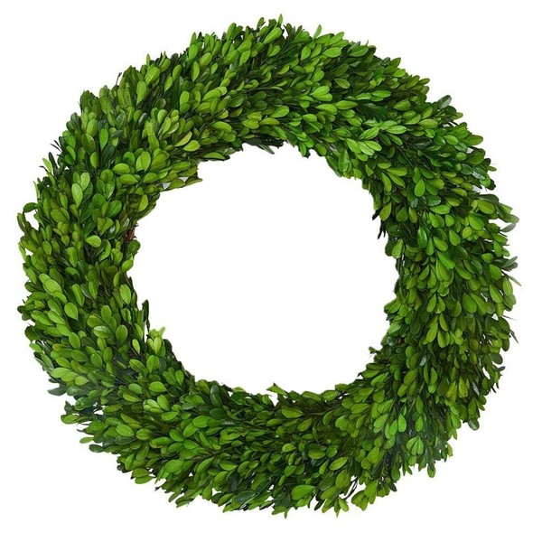 Boxwood Wreath X-Larger 22 inch Preserved Nature Boxwood Wreath Home Decor Stay Fresh for Years for Door Wall Window Party Décor Spring Summer Fresh Green Wreath