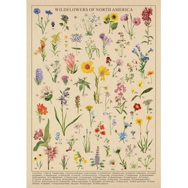 Vintage Wildflowers Puzzle 1000 Pieces for Adult, Botany Plant Flower Puzzle of Wildflowers of North America, Floral Jigsaw Puzzles Nature as Plant Gifts