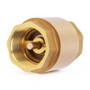 ChillWaves Brass In-Line Spring Check Valve DN50 2" Female Thread,