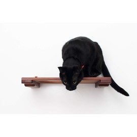 CatastrophiCreations Cat Escape Hatch Handcrafted Elevated Wall