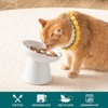 vancasso Ceramic Slow Feeder Cat Bowl, 6.25 Inch Elevated Cat