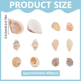 WEBEEDY About 400 PCS Small Natural Seashells Mixed Sea Shells for Crafting Mini Seashells Bulk for Home Decorations Beach Theme Party Decorations Fish Tank Filler Accessories DIY Art Crafts(0.5-2 cm)