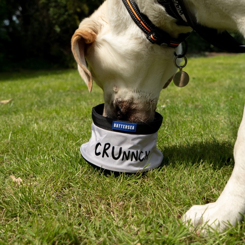 Battersea Collapsible Food Bowl